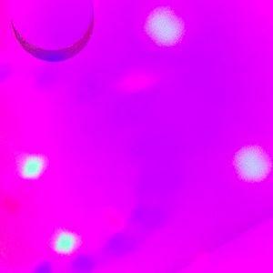 Meet your Posher, Janice